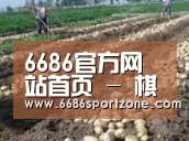 种植基地八