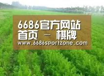 种植基地四