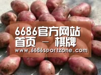 产品展示标题5