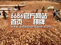 种植基地二