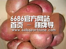 产品展示标题1