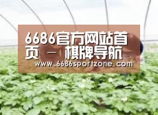 种植基地三