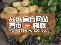 产品展示标题4
