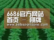 种植基地六