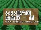 种植基地六(图1)