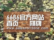 种植基地八(图1)