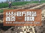 种植基地七(图1)