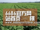 种植基地五(图1)