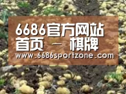 种植基地七