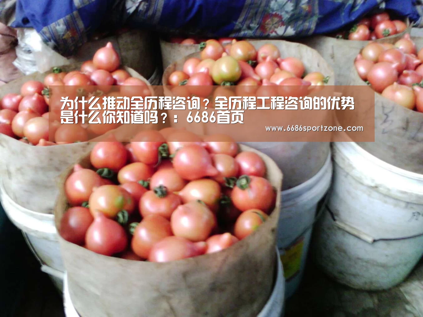 为什么推动全历程咨询?全历程工程咨询的优势是什么你知道吗?:6686首页(图1) 6686热点