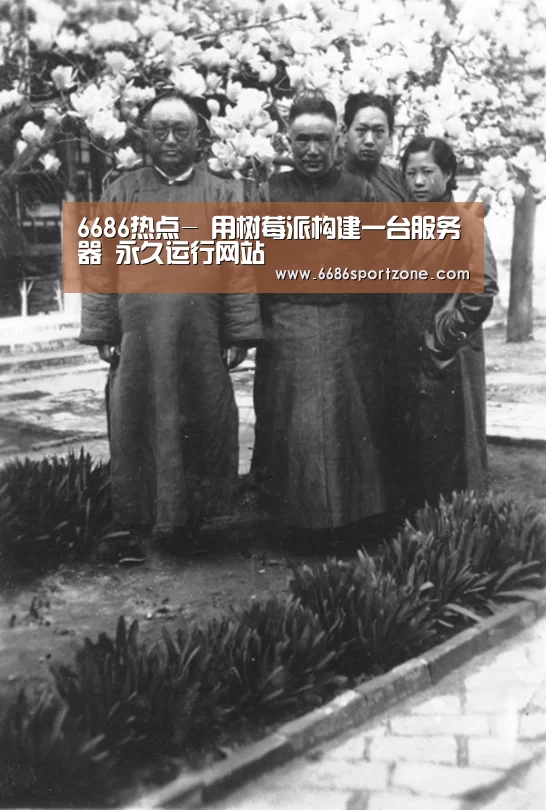 6686品牌