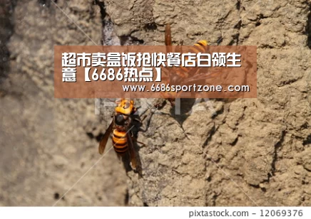 6686品牌