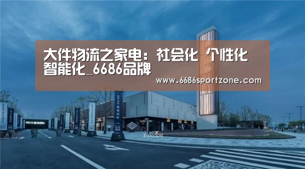 大件物流之家电:社会化 个性化 智能化_6686品牌(图2) 6686品牌