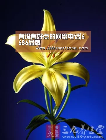 有没有好点的网络电话|6686品牌(图2) 6686热点
