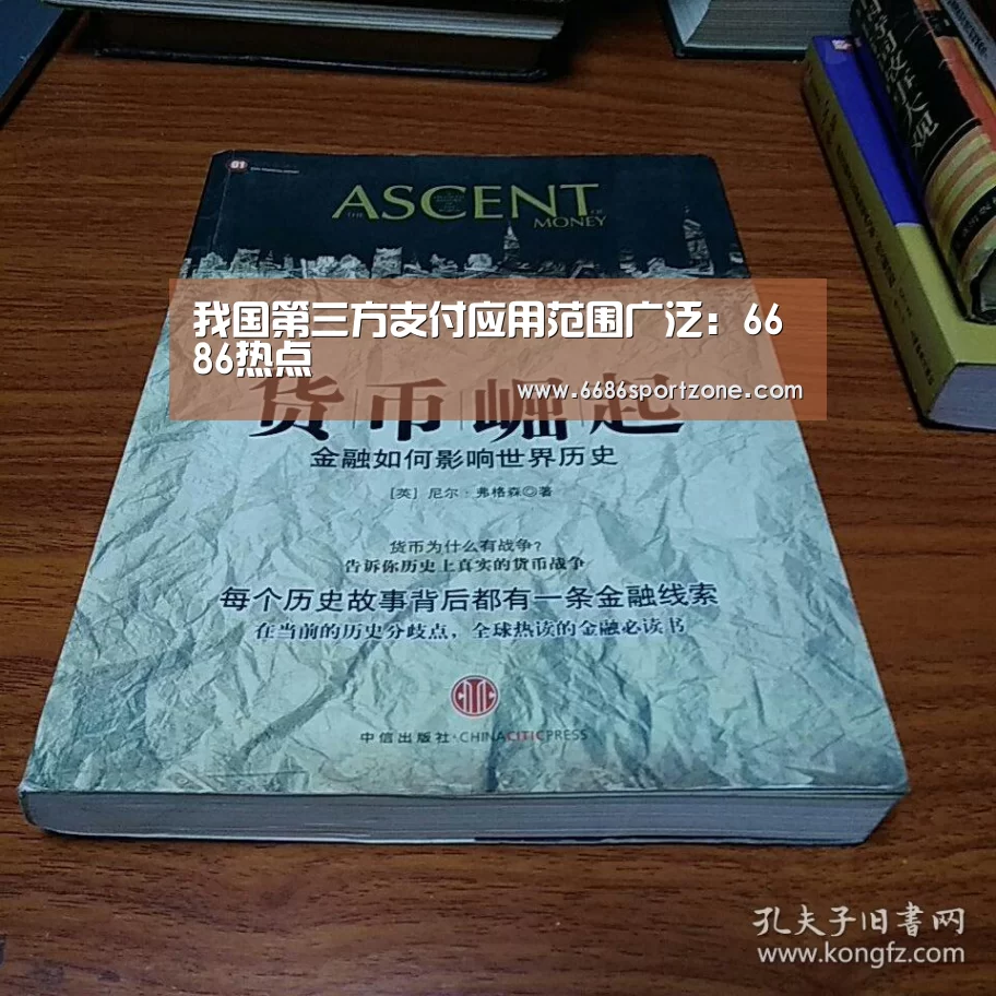 我国第三方支付应用范围广泛:6686热点(图1) 6686品牌